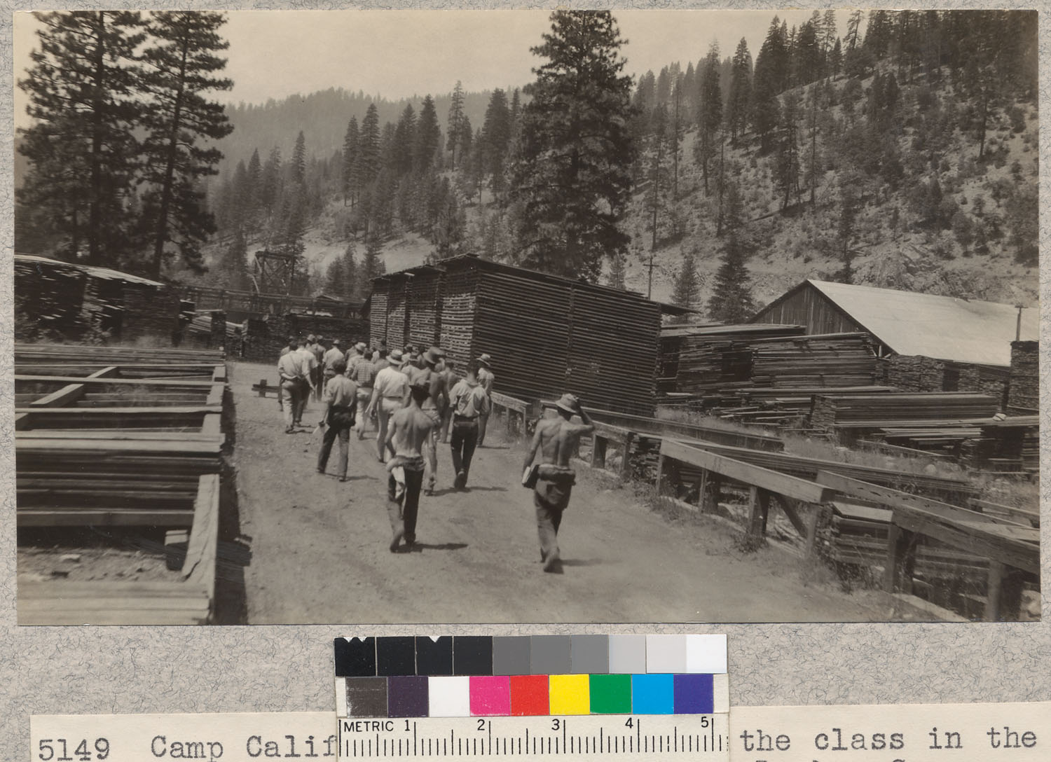 Camp Califorest. A portion of the class in the lumber yard of the
